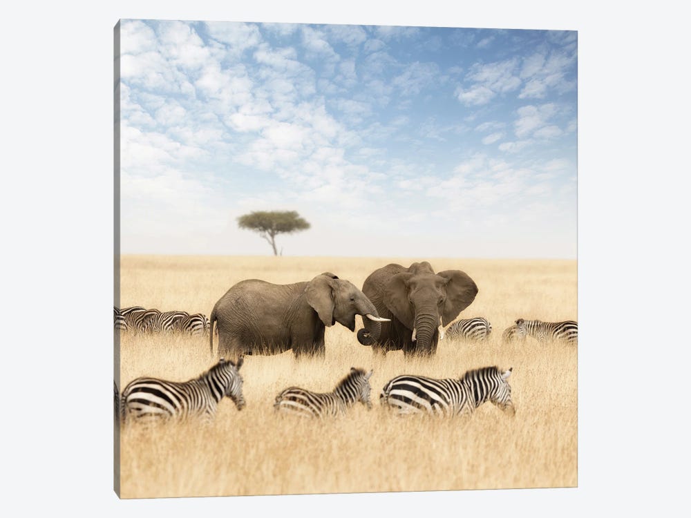 Elephants And Zebras In The Grasslands Of The Masai Mara by Jane Rix 1-piece Art Print