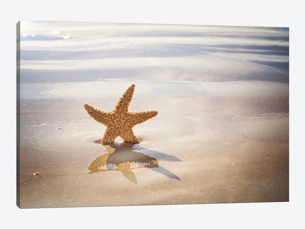 Starfish On The Beach by Jane Rix 1-piece Canvas Art Print