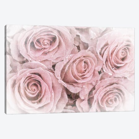 Faded Bouquet Of Pink Roses Canvas Print #JRX10} by Jane Rix Art Print