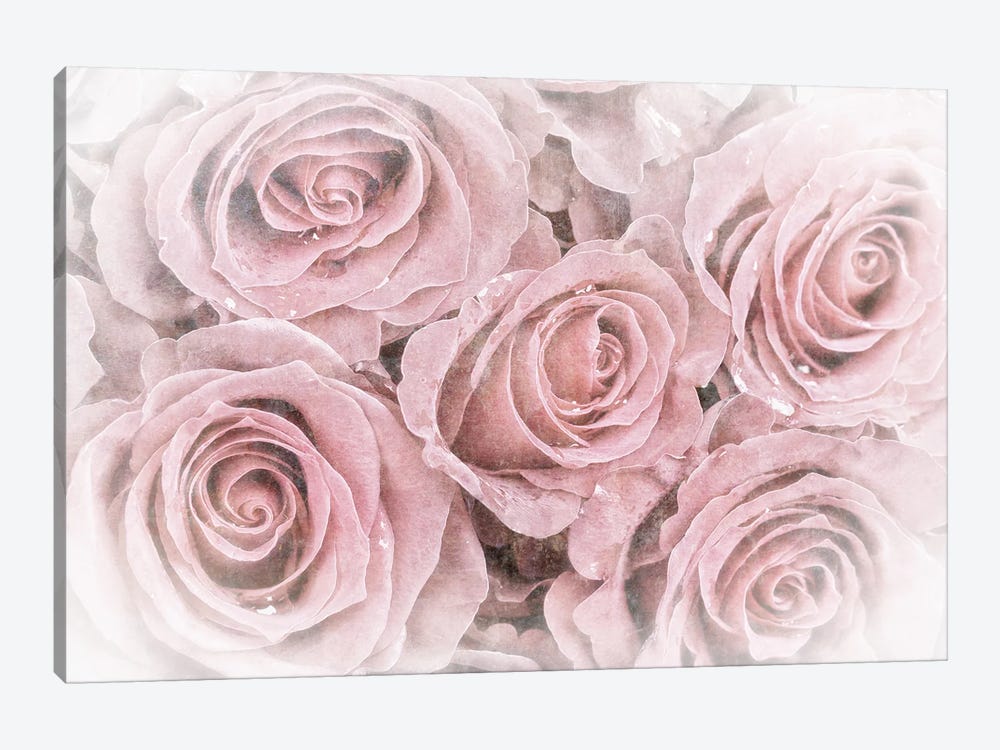 Faded Bouquet Of Pink Roses by Jane Rix 1-piece Canvas Art