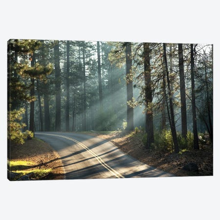 Road Through Yosemite With Early Morning Sunlight Canvas Print #JRX116} by Jane Rix Canvas Wall Art