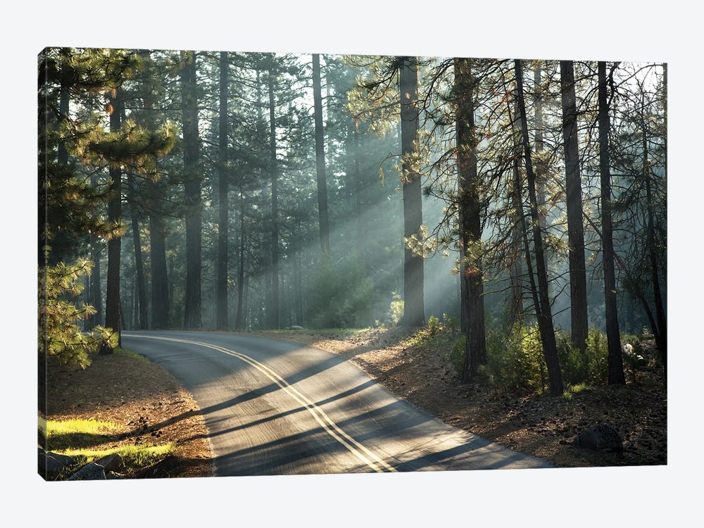 Road Through Yosemite With Early Morning Sunlight by Jane Rix 1-piece Canvas Artwork