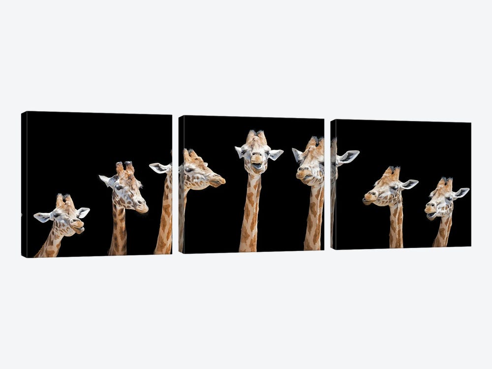 Seven Giraffes by Jane Rix 3-piece Canvas Wall Art