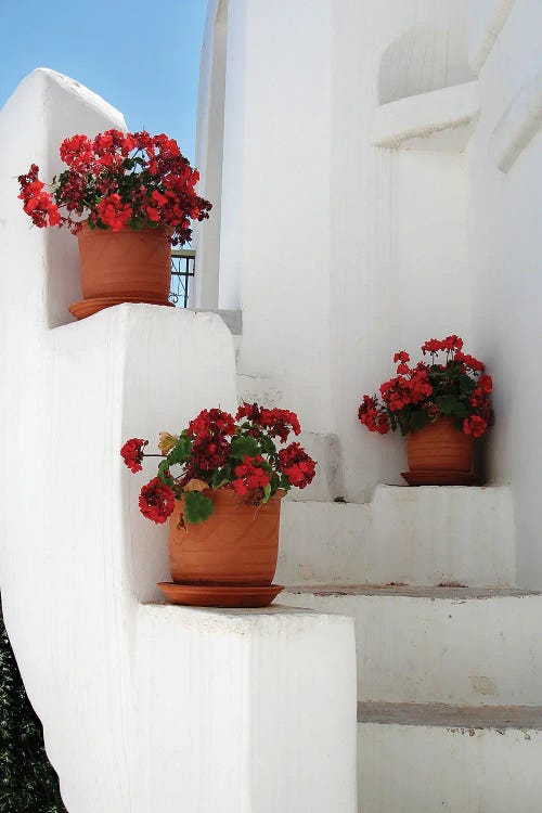 Flowerpots On A Greek Staircase