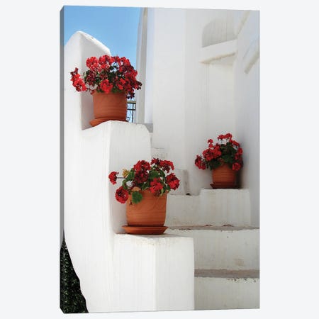 Flowerpots On A Greek Staircase Canvas Print #JRX11} by Jane Rix Canvas Print