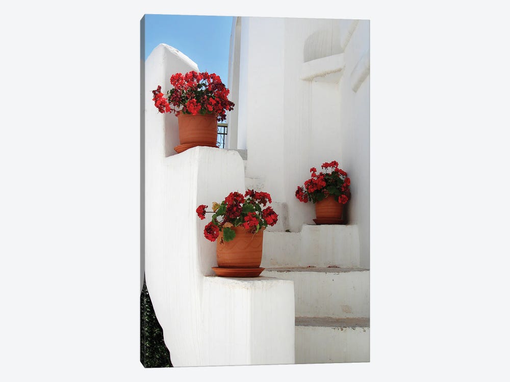 Flowerpots On A Greek Staircase by Jane Rix 1-piece Canvas Print