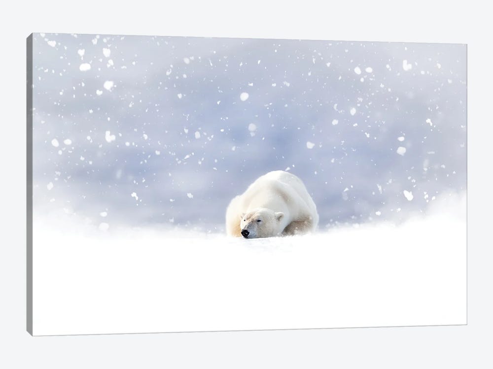 Fantasy Scene Of A Polar Bear In The Snow by Jane Rix 1-piece Canvas Print