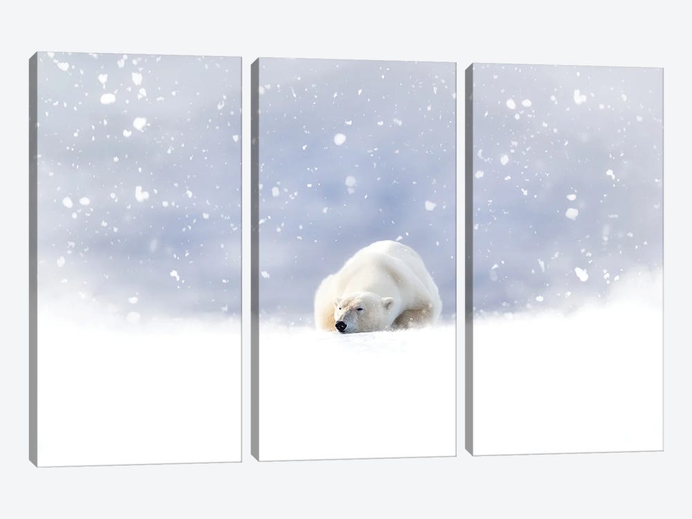 Fantasy Scene Of A Polar Bear In The Snow by Jane Rix 3-piece Canvas Art Print