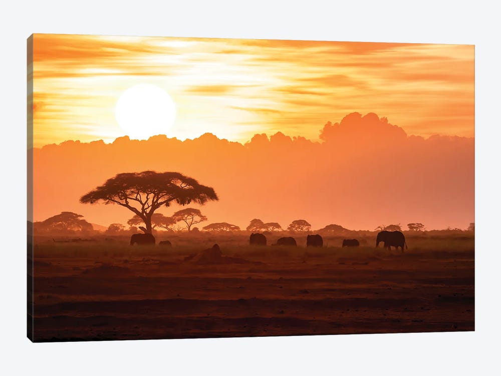 A Herd Of African Elephants In Amboseli National Park At Sunrise by Jane Rix 1-piece Canvas Artwork