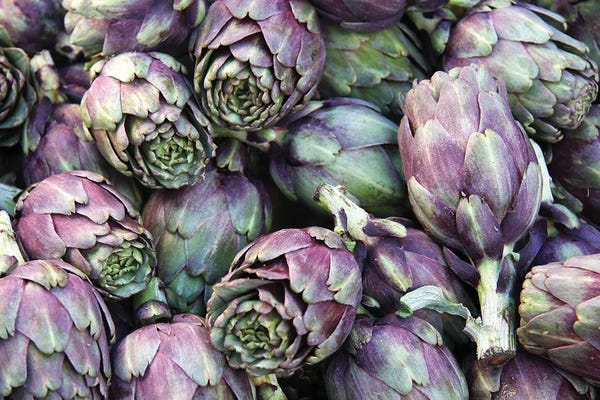 Orchid Pink: Background Of Artichokes by Jane Rix