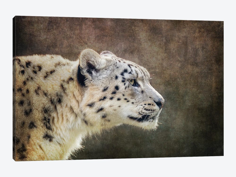 Snow Leopard Side Profile With Textured Background by Jane Rix 1-piece Art Print