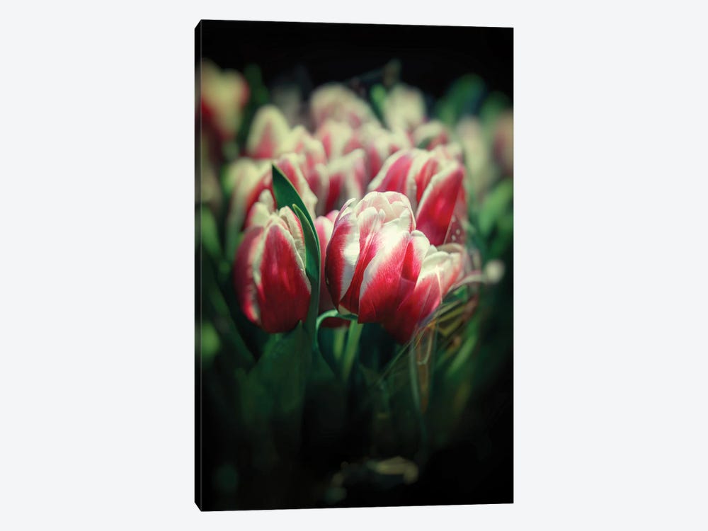 Tulip Bouquets by Jane Rix 1-piece Art Print