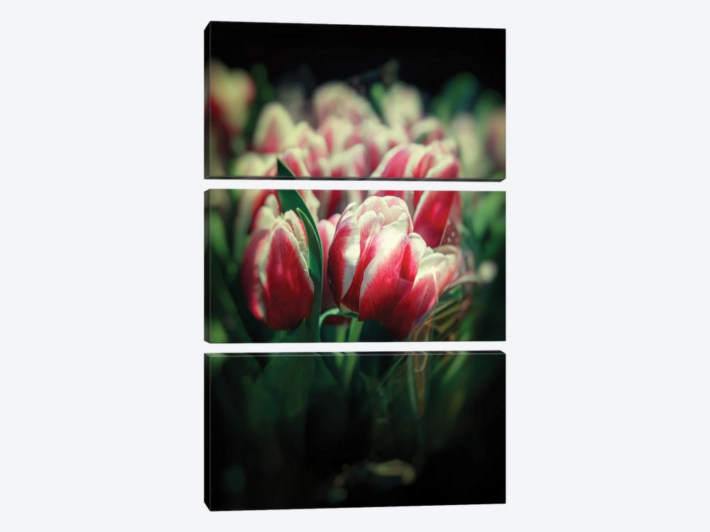 Tulip Bouquets by Jane Rix 3-piece Art Print