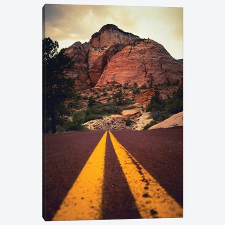 The Road To Zion Canvas Print #JRX162} by Jane Rix Canvas Artwork