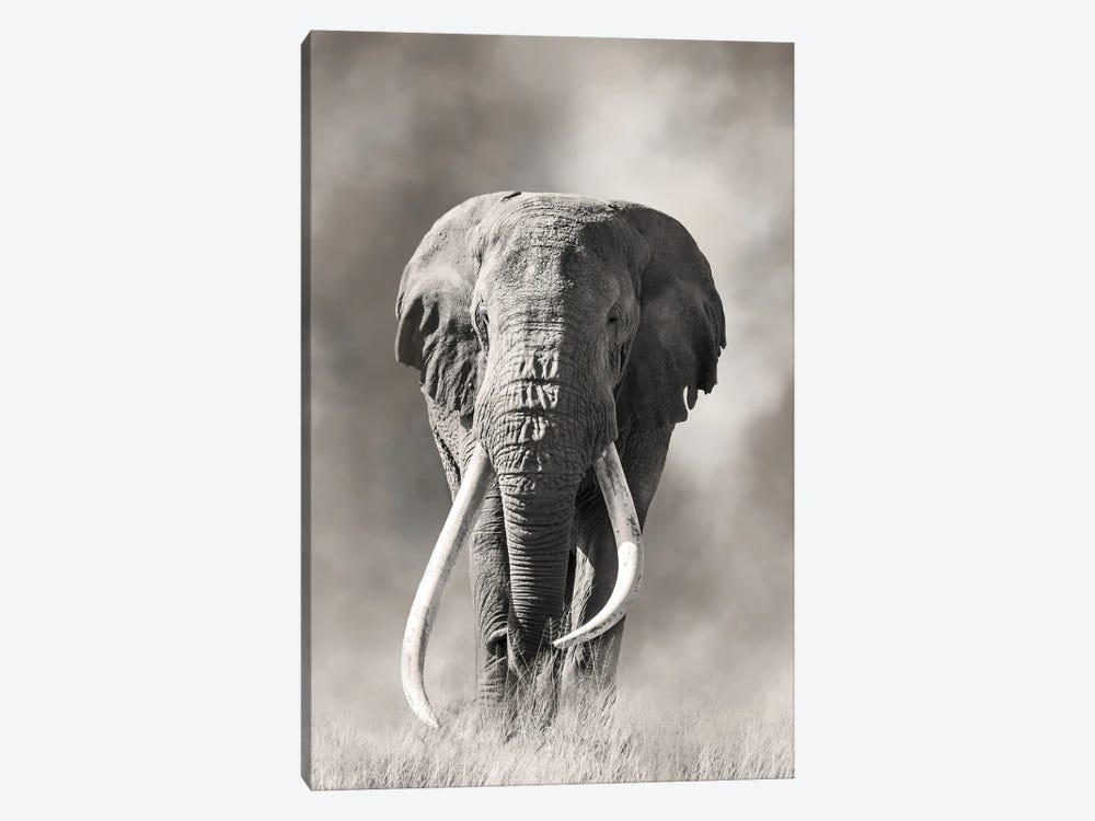 Giant Tusk Bull Elephant Emerges From The Dust Amboseli National Park by Jane Rix 1-piece Canvas Wall Art