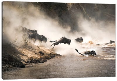 Wildebeest Leap Of Faith In The Masai Mara Canvas Art Print - Antelopes