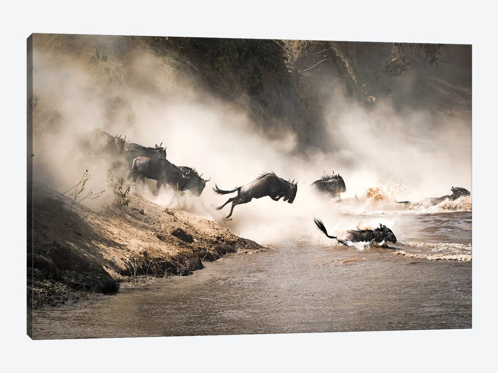 Wildebeest Leap Of Faith In The Masai Mara by Jane Rix 1-piece Art Print
