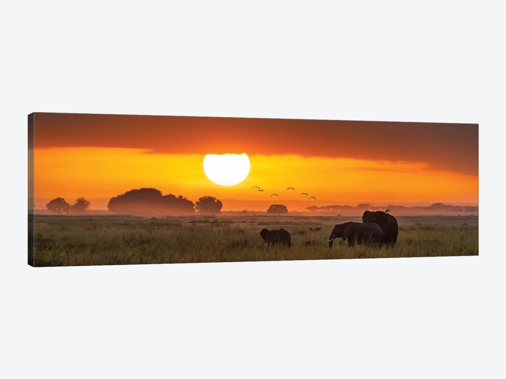 Elephants At Sunrise In Amboseli National Park, Kenya by Jane Rix 1-piece Canvas Print