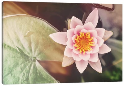 Water Lily Retro Style With Light Leaks Canvas Art Print - Lily Art