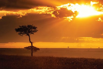 Maasai Mara National Reserve