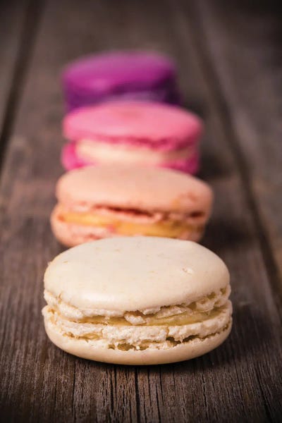 Still Life Photography: Assorted Macaroons by Jane Rix