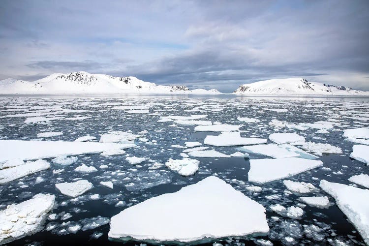 Ices Floes, Svalbard