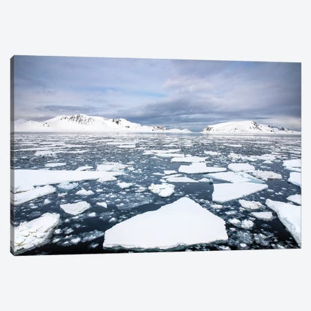 Ices Floes, Svalbard Canvas Print #JRX232} by Jane Rix Canvas Wall Art