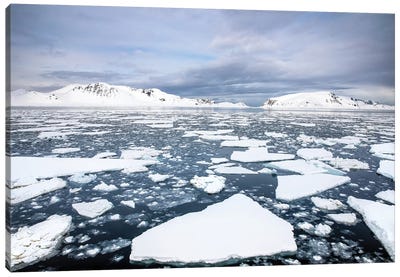 Ices Floes, Svalbard Canvas Art Print - Svalbard