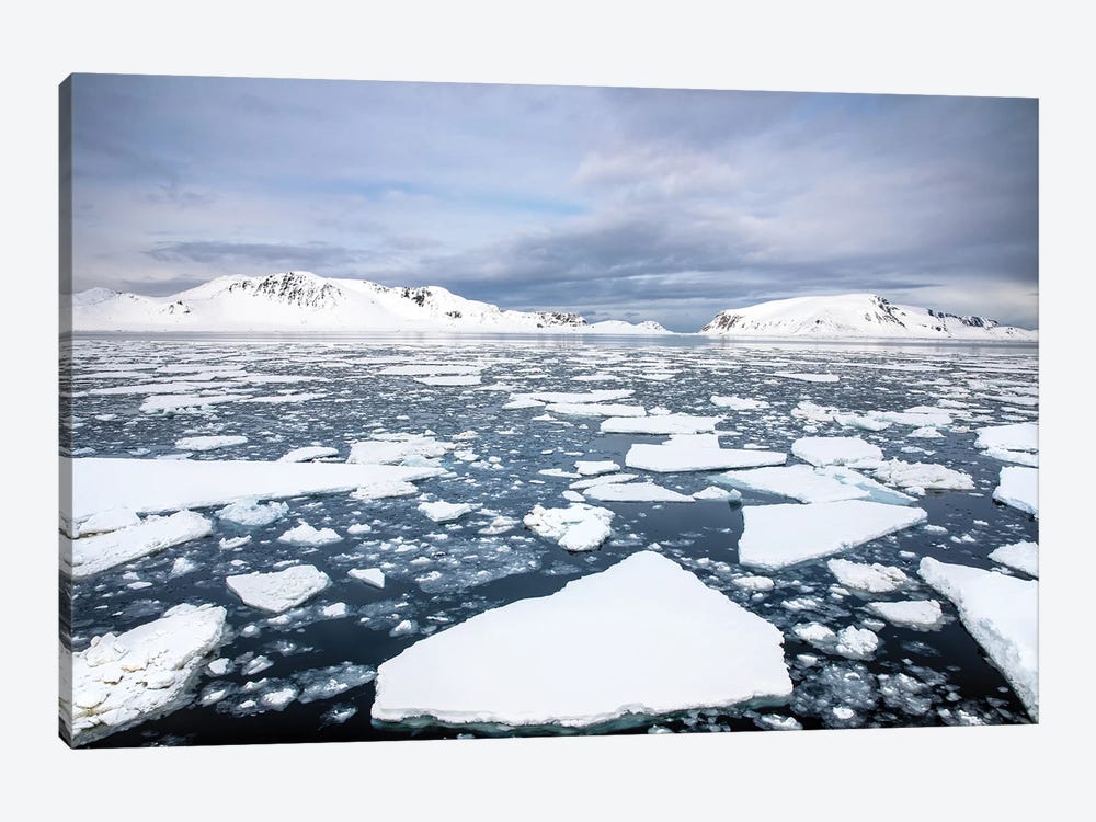 Ices Floes, Svalbard by Jane Rix 1-piece Canvas Wall Art