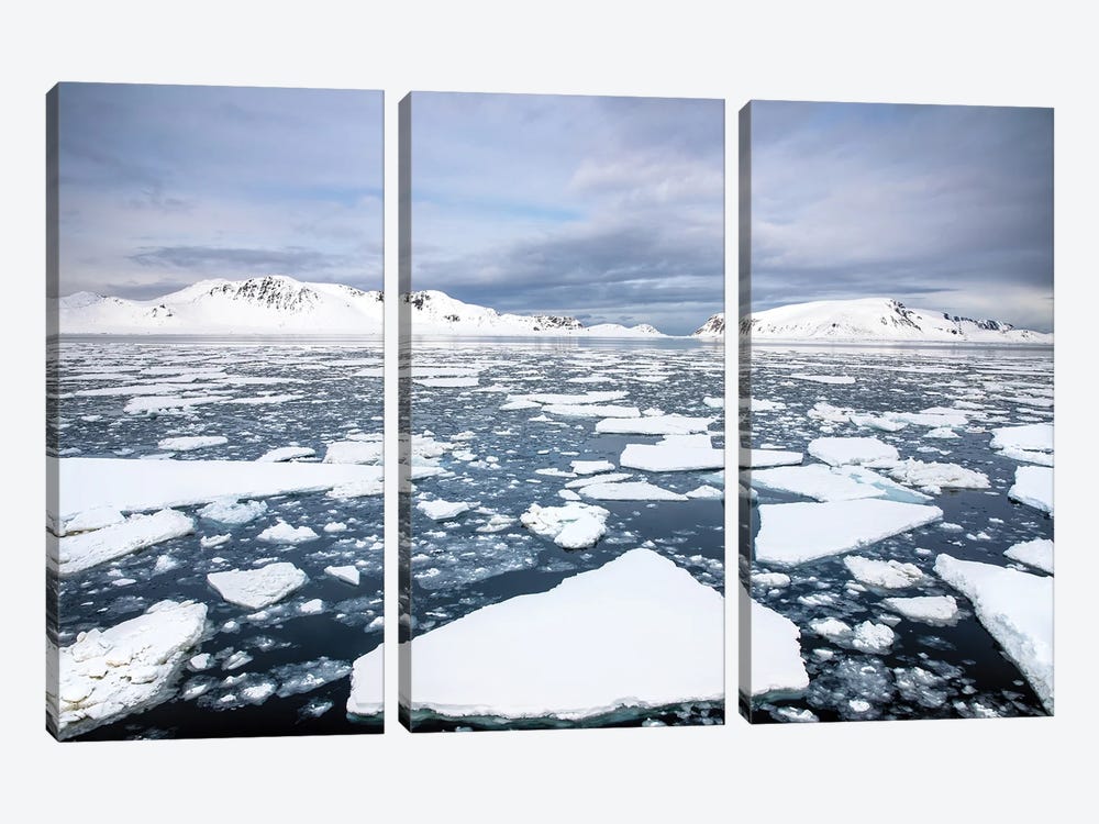 Ices Floes, Svalbard by Jane Rix 3-piece Canvas Artwork