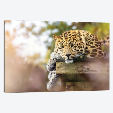 Golden Leopard with Black Spots on Pink - Print on Canvas East Urban Home Format: Gold Floater Framed, Size: 32 H x 16 W