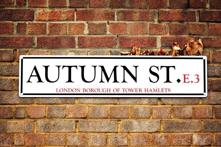 Autumn Street And Autumn Leaves by Jane Rix wall art