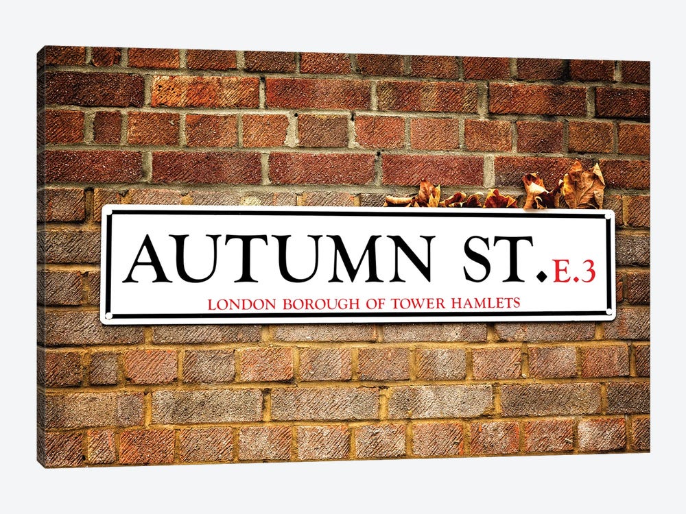 Autumn Street And Autumn Leaves by Jane Rix 1-piece Canvas Wall Art