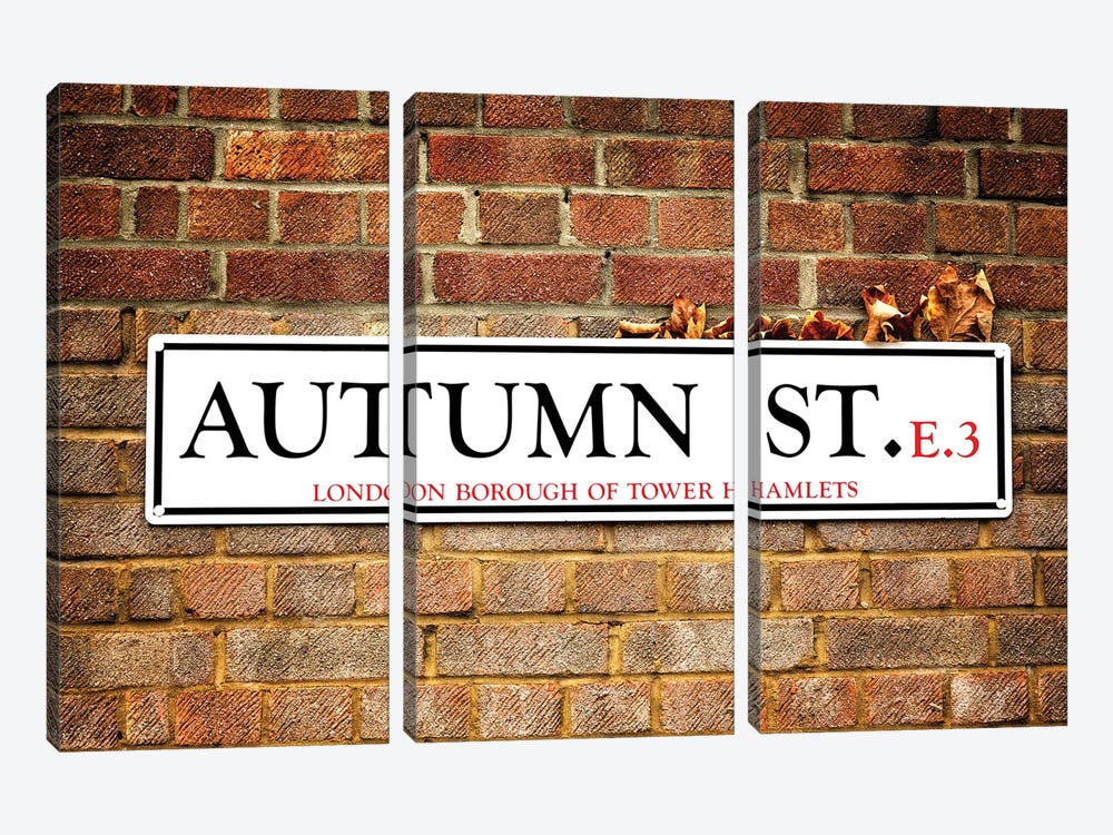 Autumn Street And Autumn Leaves by Jane Rix 3-piece Canvas Wall Art
