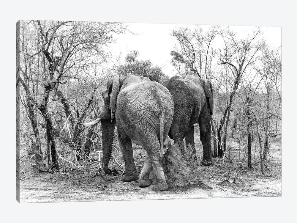 Elephants In Kruger, Black And White by Jane Rix 1-piece Art Print