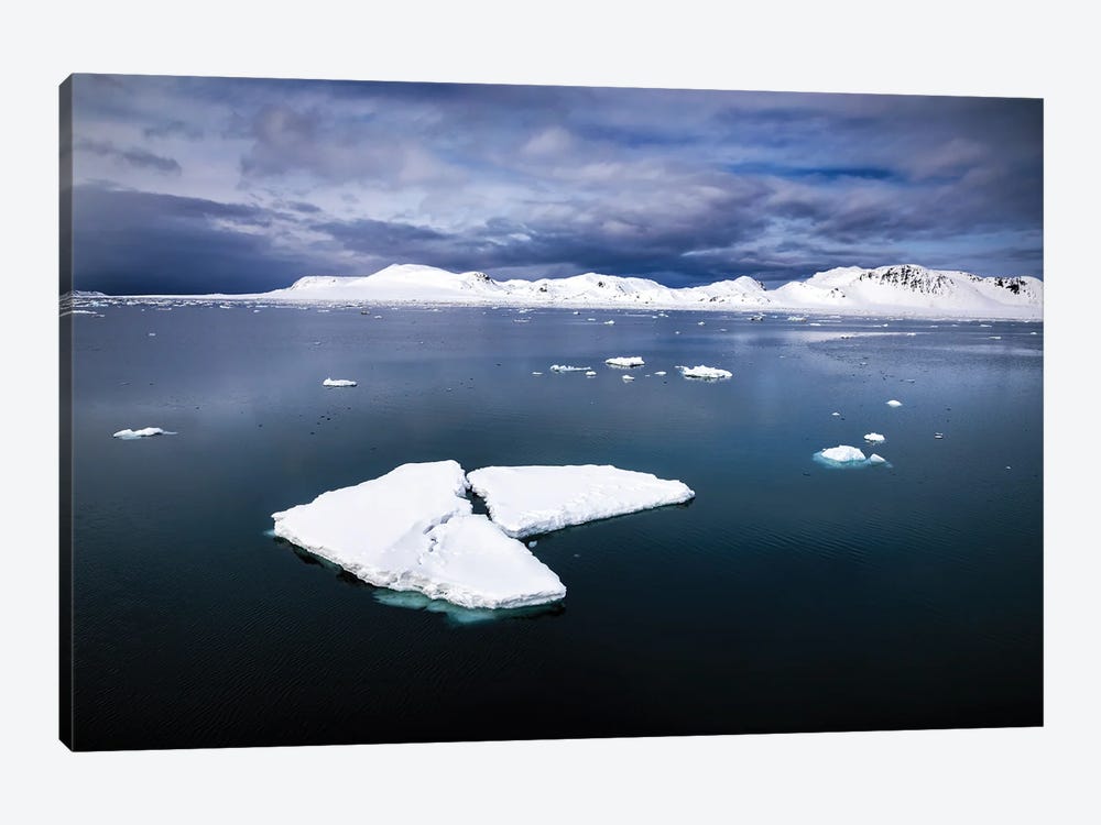 Ice Floes And Mountains, Svalbard by Jane Rix 1-piece Canvas Artwork