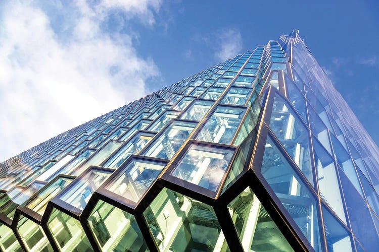 Harpa Hall, Reykjavik