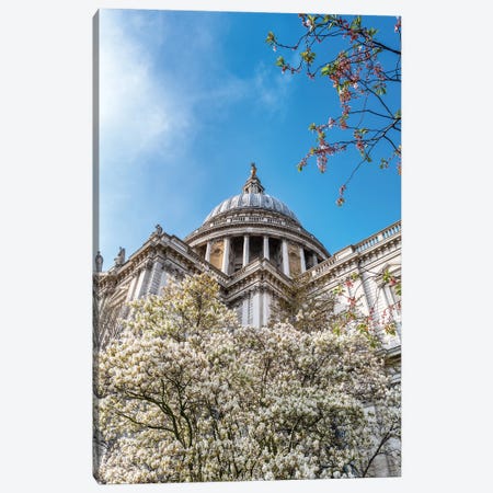 St Paul's Cathedral And Cherry Blossoms, London Canvas Print #JRX292} by Jane Rix Canvas Artwork