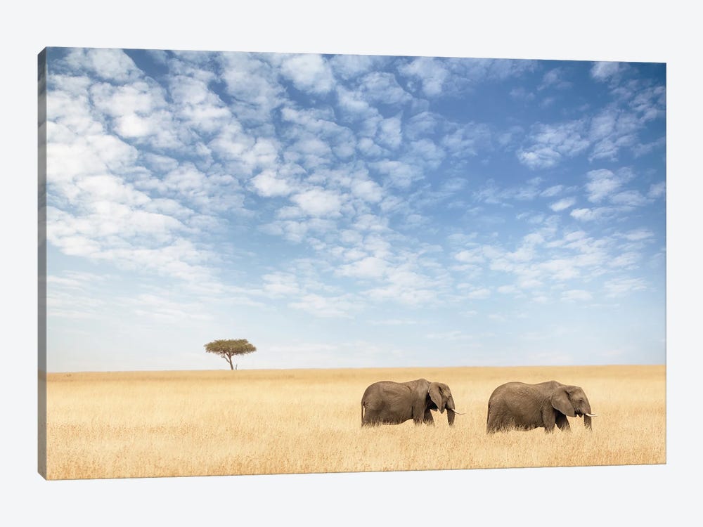 Two Elephants Walking In The Masai Mara by Jane Rix 1-piece Canvas Wall Art