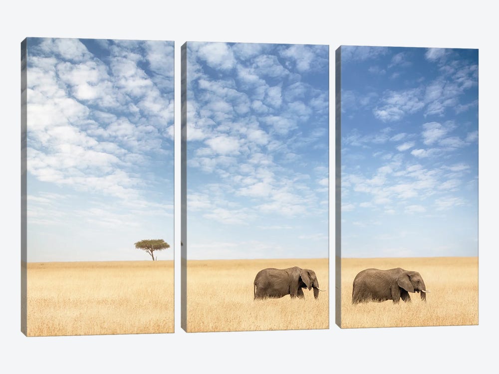 Two Elephants Walking In The Masai Mara by Jane Rix 3-piece Canvas Art