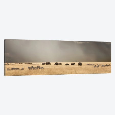 Stormy Skies Over The Masai Mara With Elephants And Zebra Canvas Print #JRX296} by Jane Rix Canvas Art Print