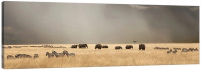 Stormy Skies Over The Masai Mara With Elephants And Zebra Canvas Art Print - Kenya
