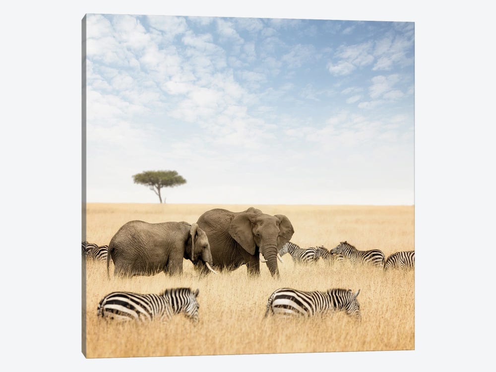Elephants And Zebras In The Masai Mara by Jane Rix 1-piece Art Print