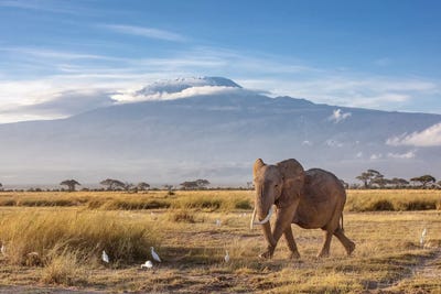 Tanzania