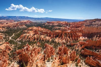 Bryce Canyon by Jane Rix canvas print