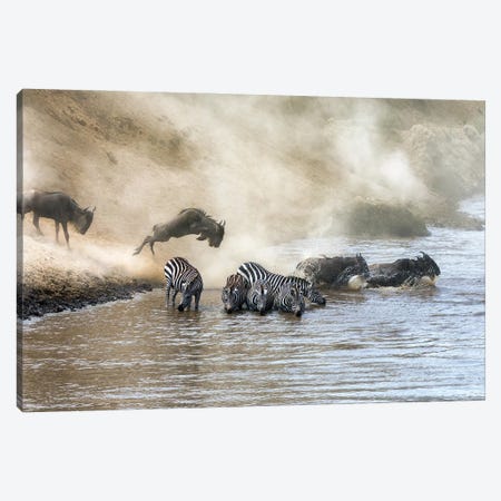 Wildebeest And Zebra Cross The Mara River Canvas Print #JRX341} by Jane Rix Canvas Wall Art