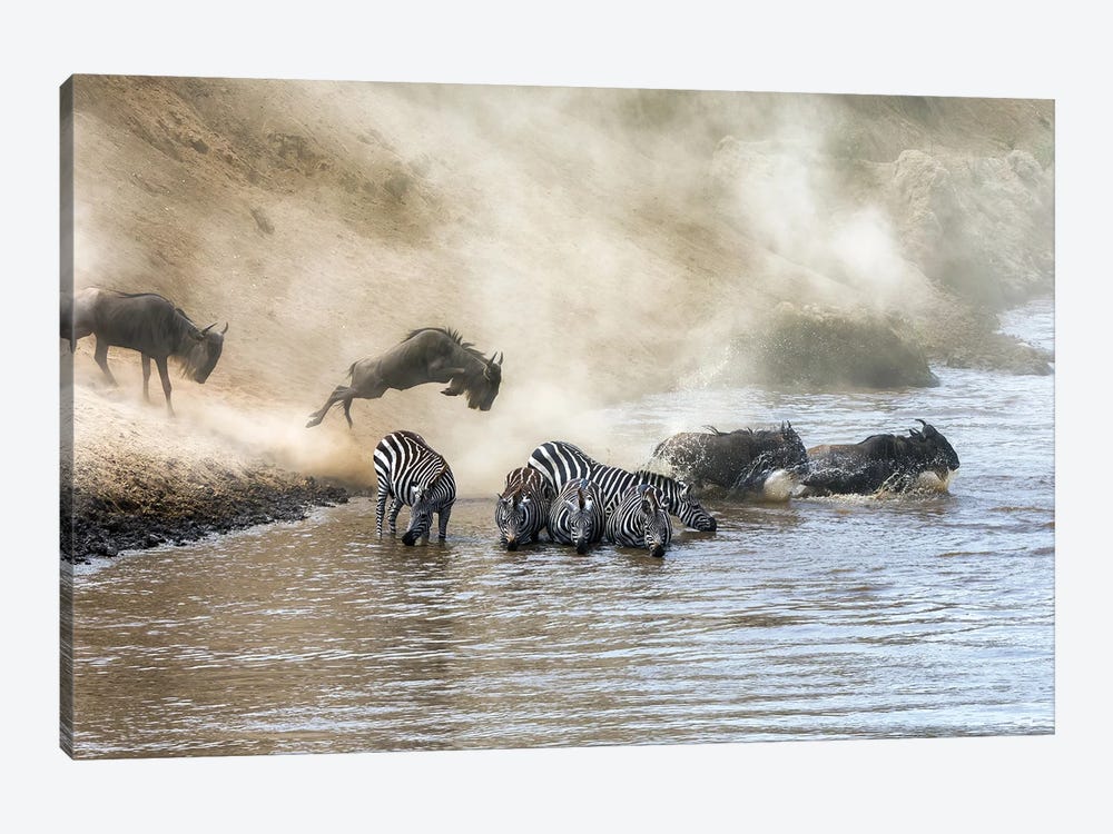 Wildebeest And Zebra Cross The Mara River by Jane Rix 1-piece Art Print
