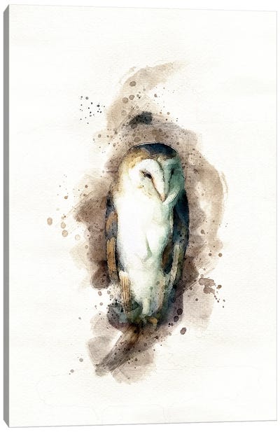 Barn Owl Watercolour Canvas Art Print - Jane Rix