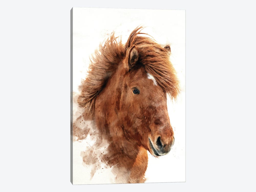 Chestnut Icelandic Horse Watercolour. by Jane Rix 1-piece Canvas Art Print