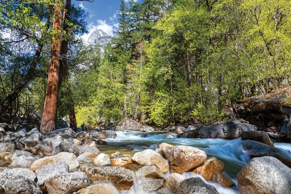 Yosemite National Park: Yosemite River And Half Dome by Jane Rix